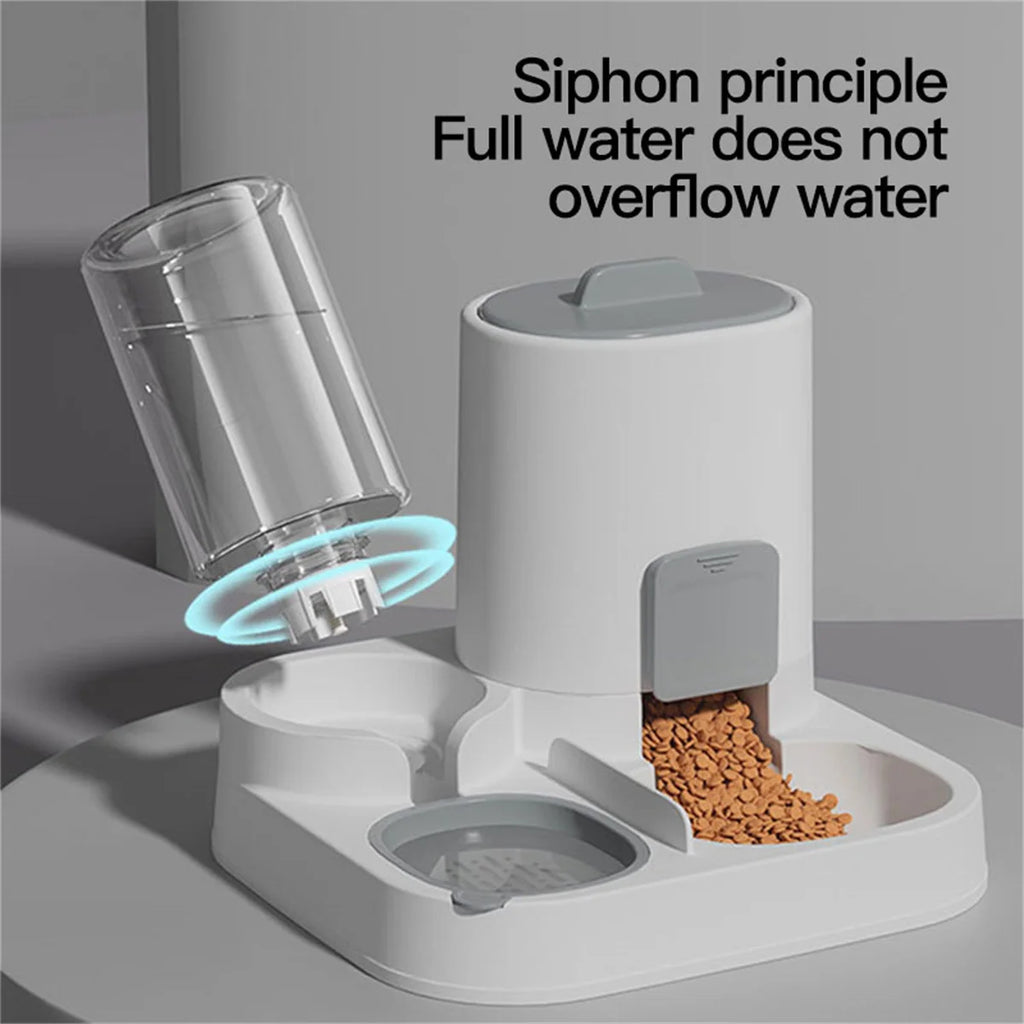 Dispenser automático para gatos, reservatório de água transparente e comedouro na base branca